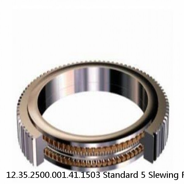 12.35.2500.001.41.1503 Standard 5 Slewing Ring Bearings