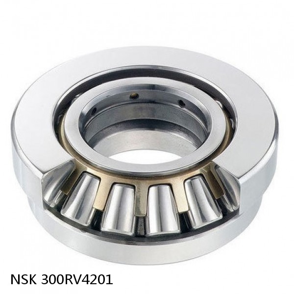 300RV4201 NSK Four-Row Cylindrical Roller Bearing