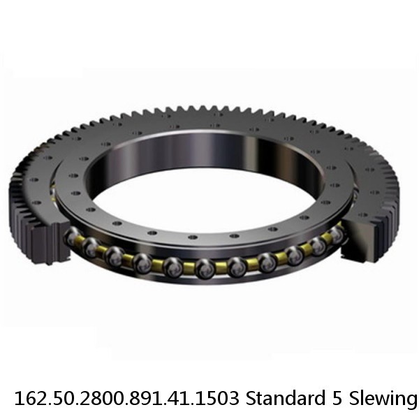 162.50.2800.891.41.1503 Standard 5 Slewing Ring Bearings