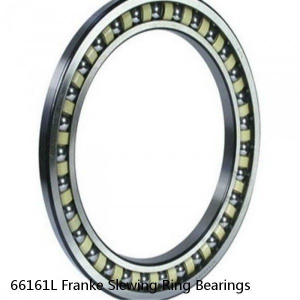 66161L Franke Slewing Ring Bearings