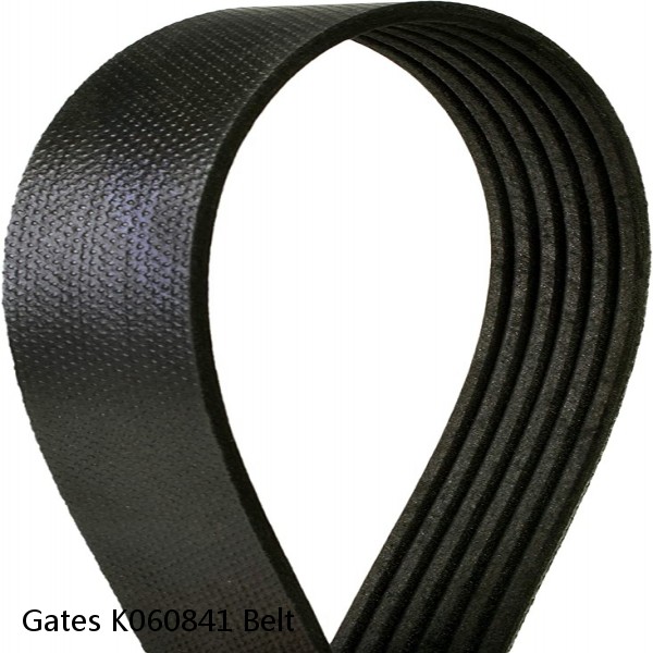 Gates K060841 Belt